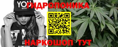 спиды Краснознаменск